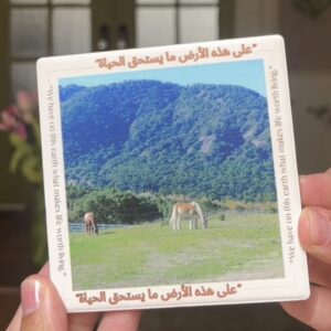 coaster