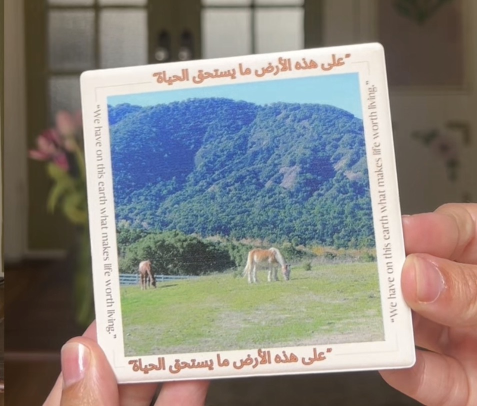 coaster
