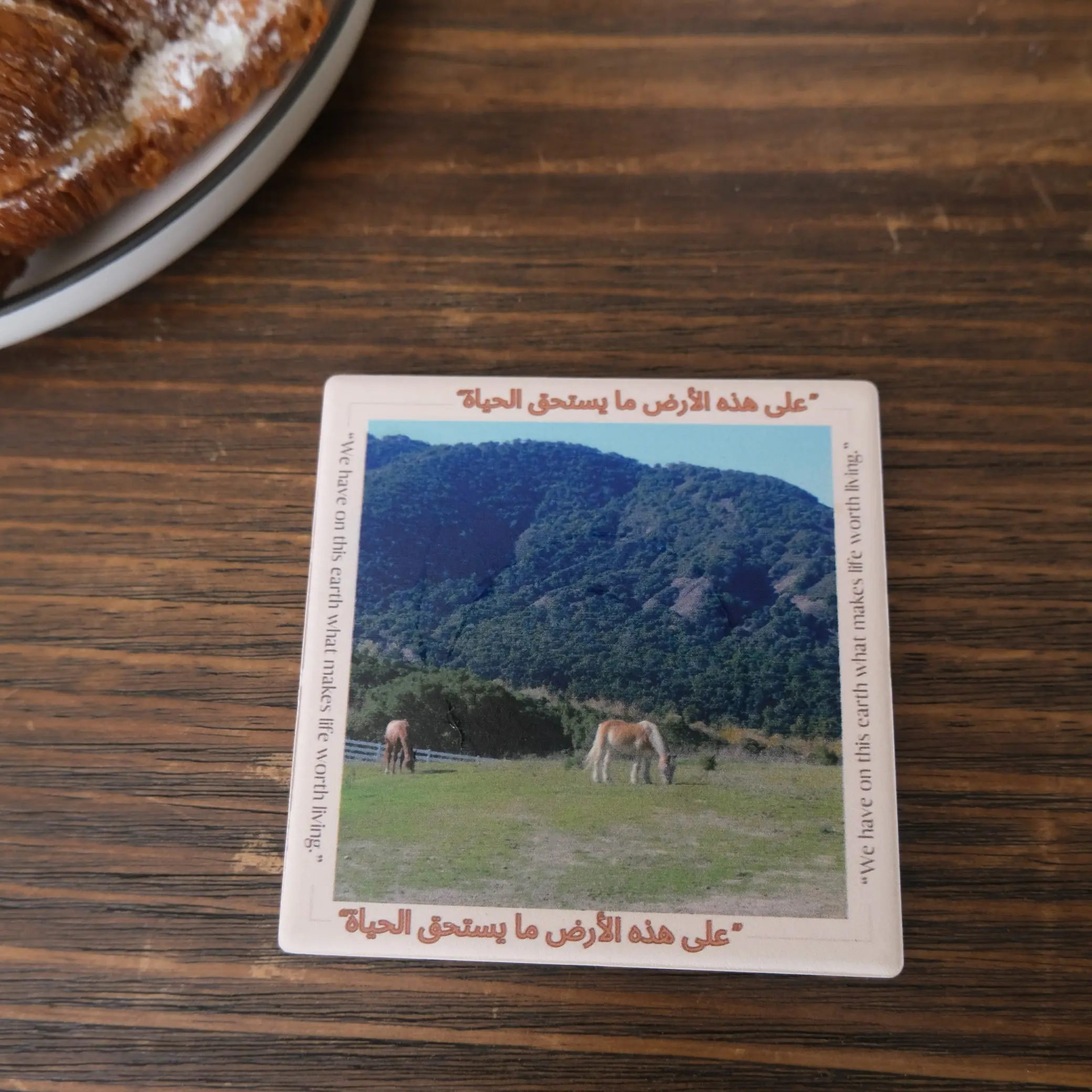 coaster